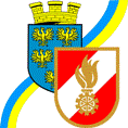 Logo Niederösterreichischer Landesfeuerwehrverband